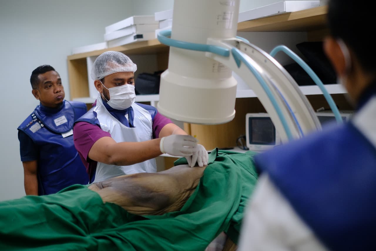 Medical team performing fluoroscopy-guided intervention together